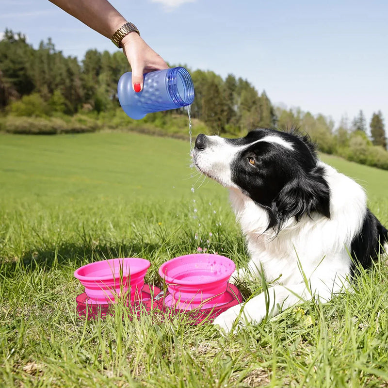 Pawfun Travel Dog Diner Set