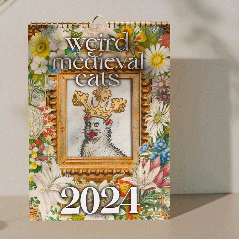 Weird Medieval Cats Calendar 2024