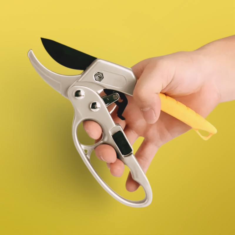 Professional Scateurs Garden Pruning Shears