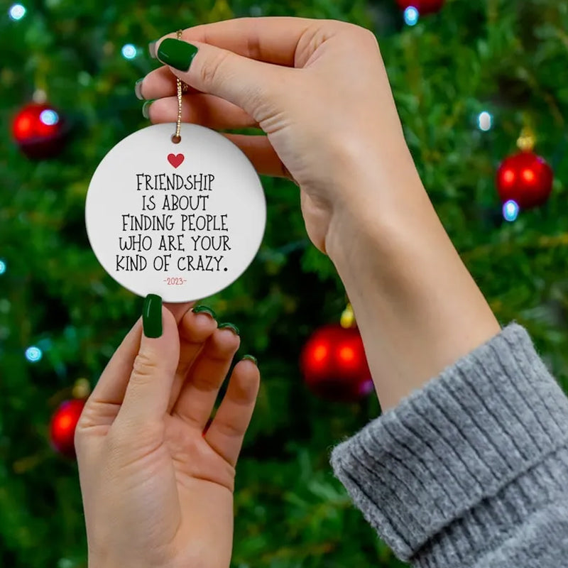 🎁💝2023 CHRISTMAS GIFT - Funny Friendship Ornament😂