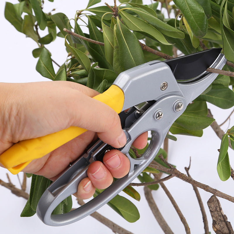 Professional Scateurs Garden Pruning Shears