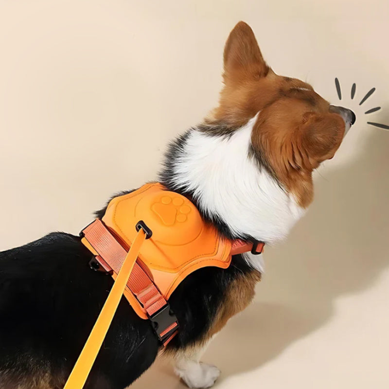 2 in 1 harness with integrated leash