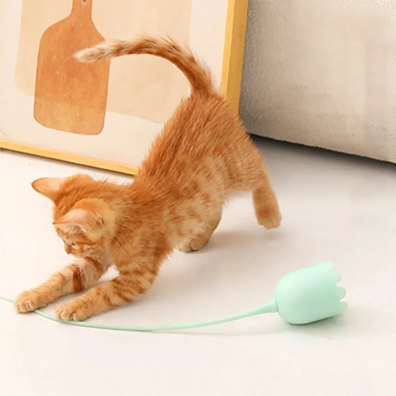 Indoor Cat Toys