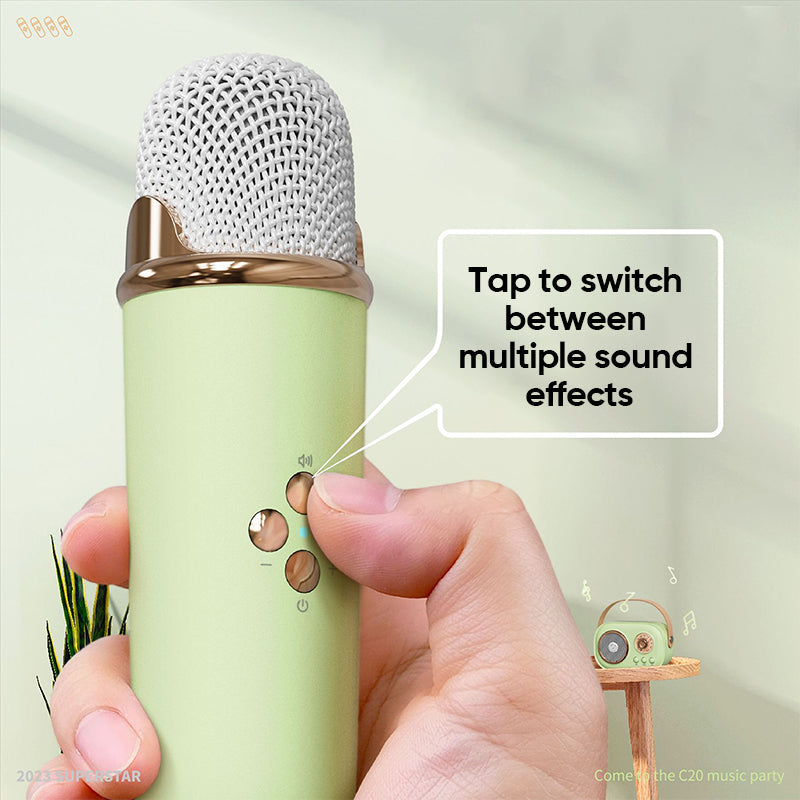 Portable Bluetooth Speaker with Wireless Microphone