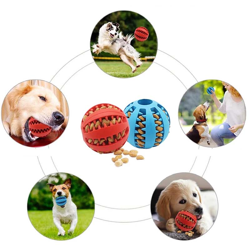 Teething Toys for Dogs