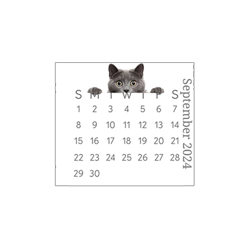 🐱2024 Peeking Cat Desk Calendar