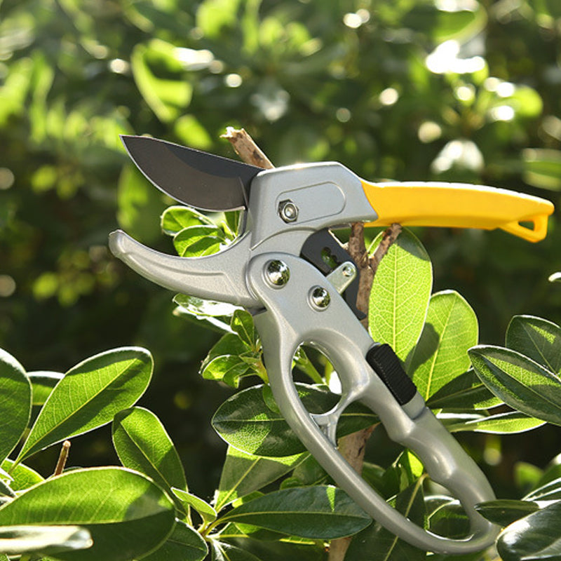 Professional Scateurs Garden Pruning Shears