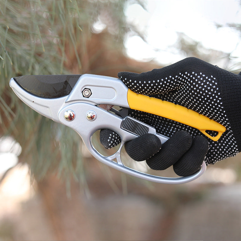 Professional Scateurs Garden Pruning Shears