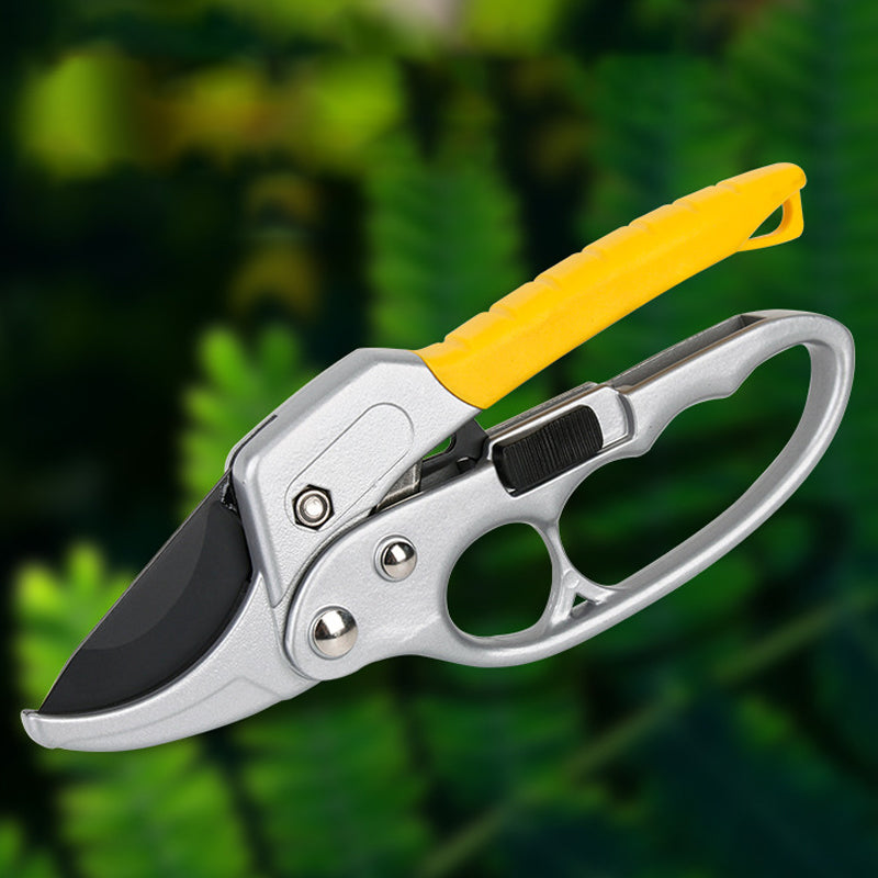 Professional Scateurs Garden Pruning Shears