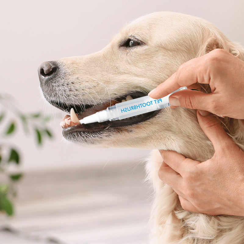 New Upgraded Pet Toothbrush Pen