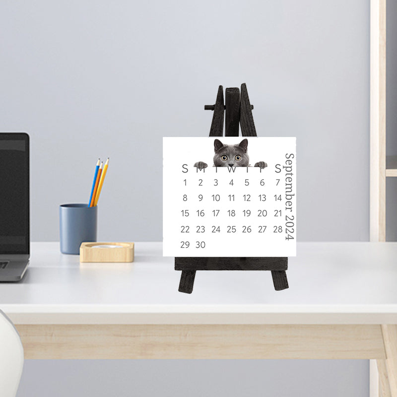 🐱2024 Peeking Cat Desk Calendar