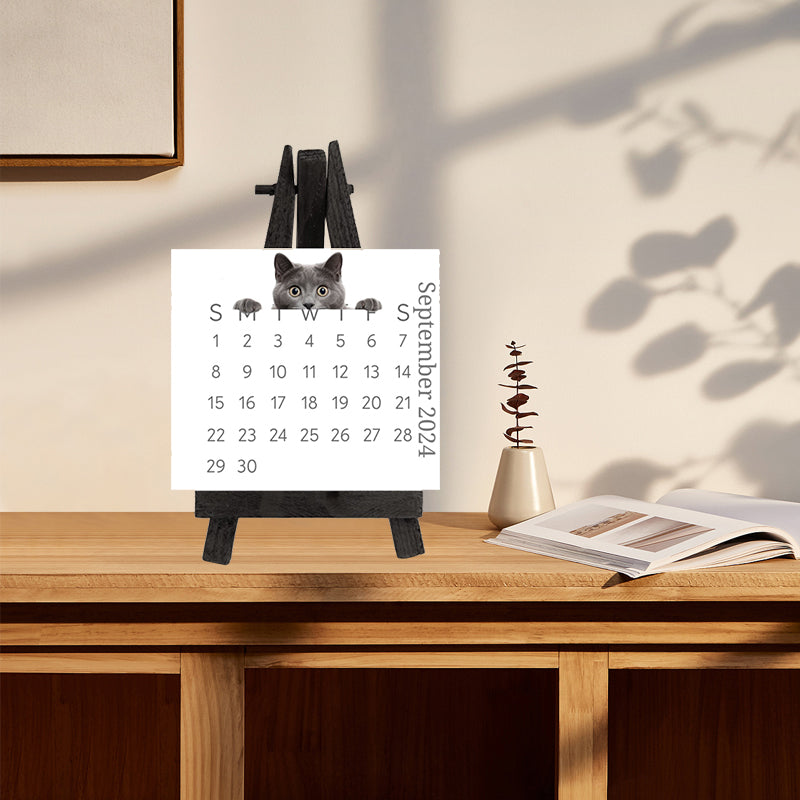 🐱2024 Peeking Cat Desk Calendar