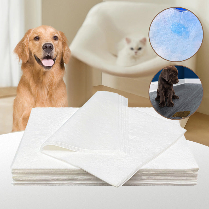 Pet Absorbent Paper(50pcs)