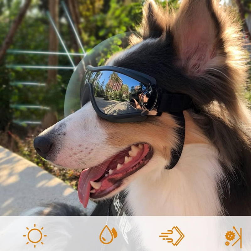 Outdoor Goggles for Dogs