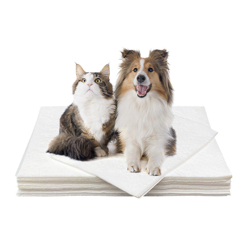 Pet Absorbent Paper(50pcs)