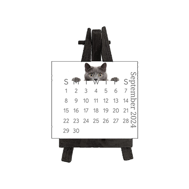 🐱2024 Peeking Cat Desk Calendar