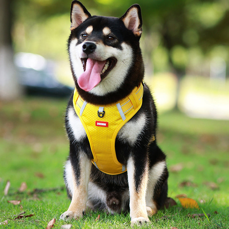 Reflective Dog Chest Strap