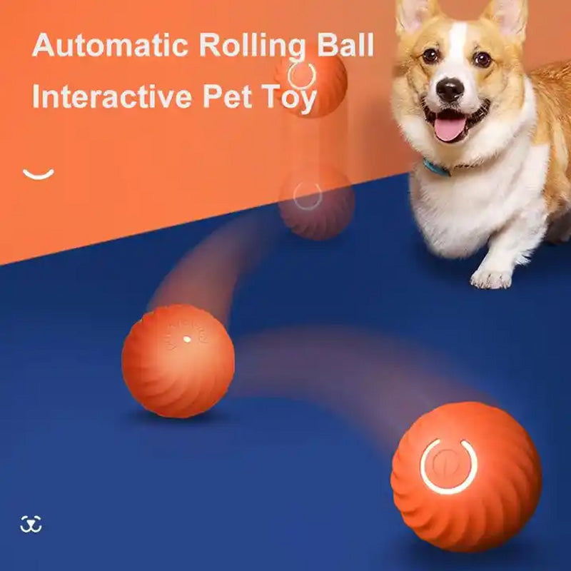 Automatic smart teasing dog ball that can't be bitten🐶