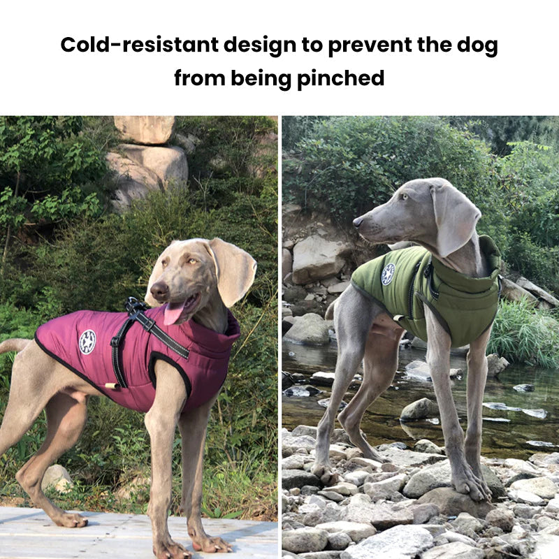 Waterproof Winter Jacket for Dogs