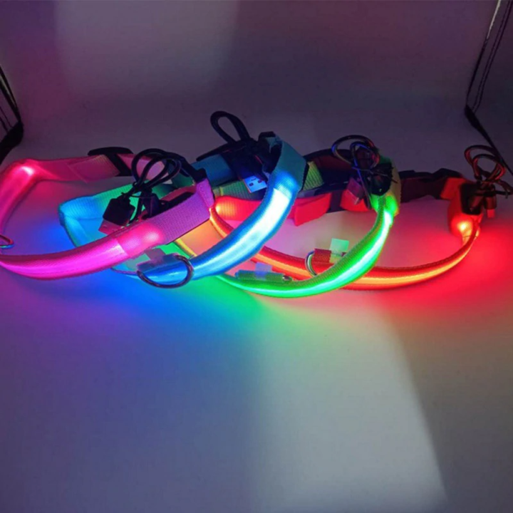 Dog LED Collars