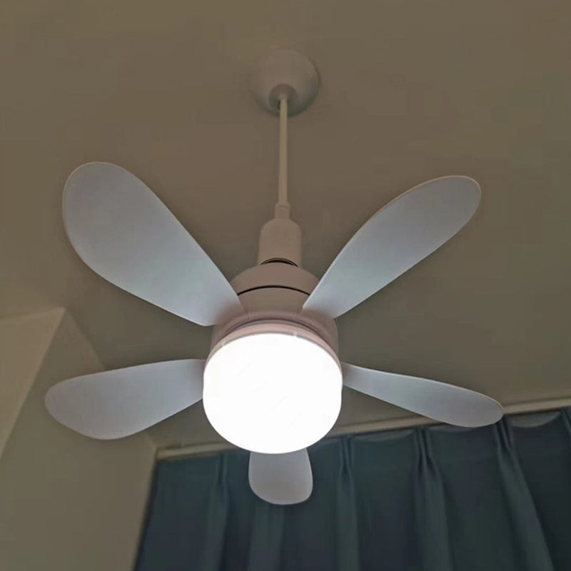 Ceiling Fans with Lights