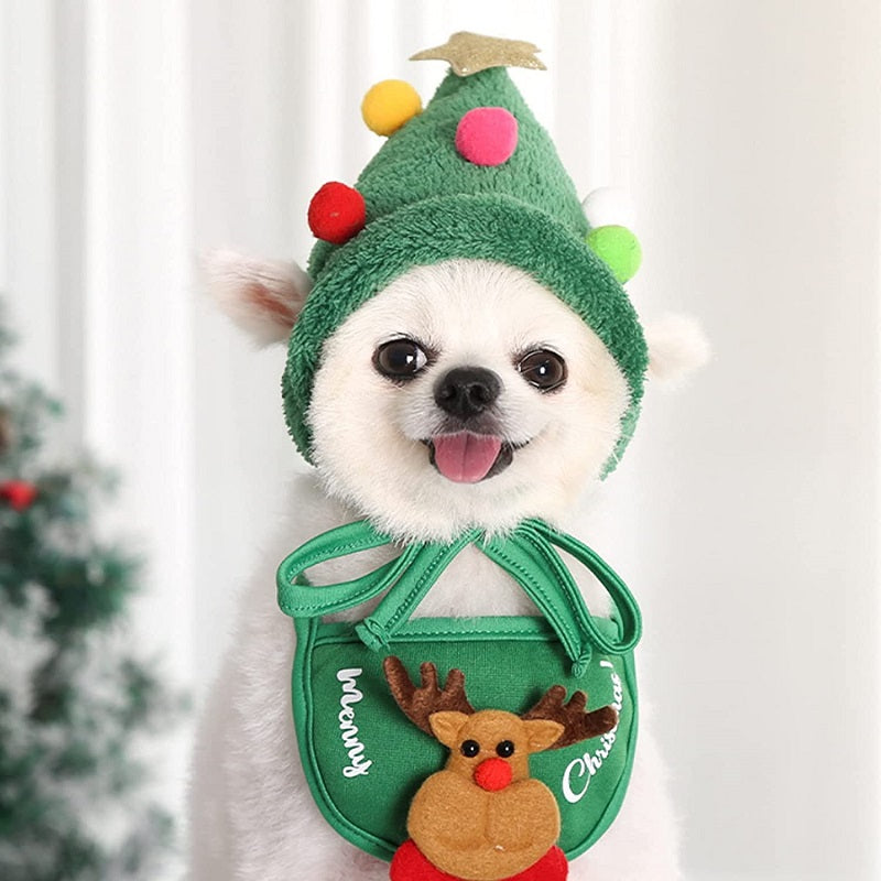 Christmas clothes for pets