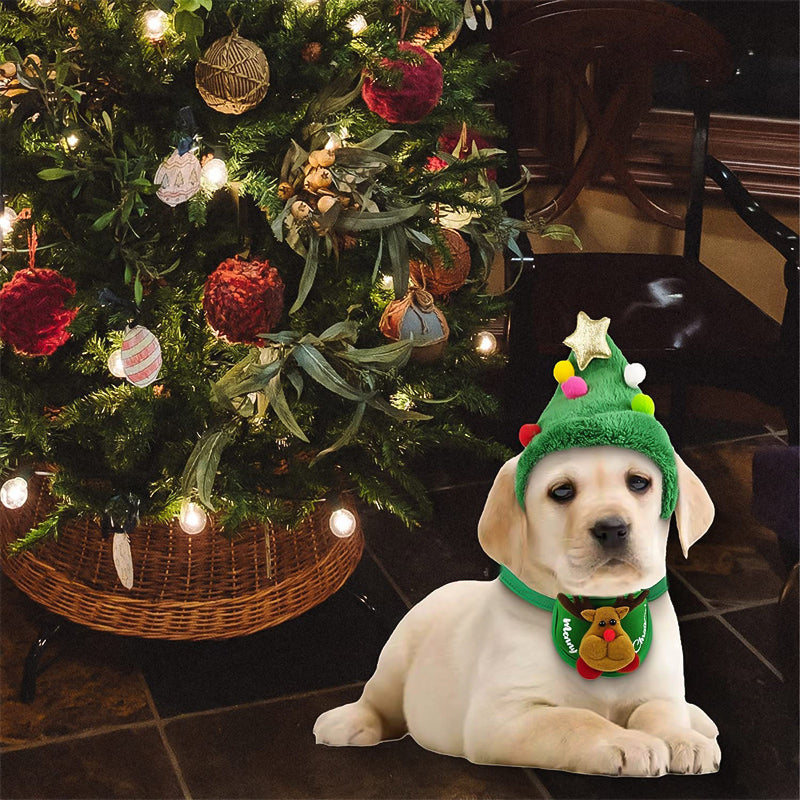 Christmas clothes for pets