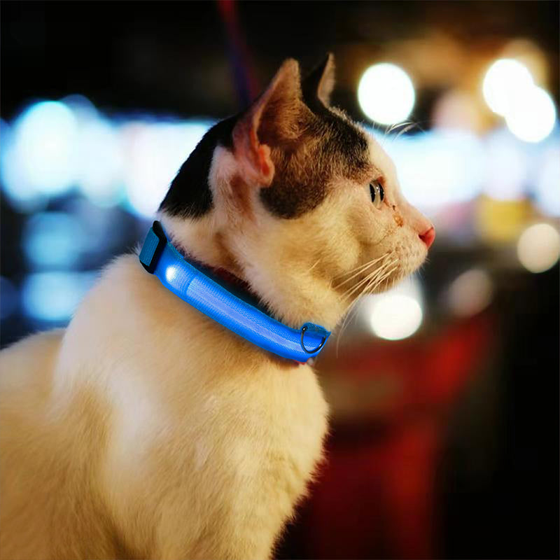 Dog LED Collars