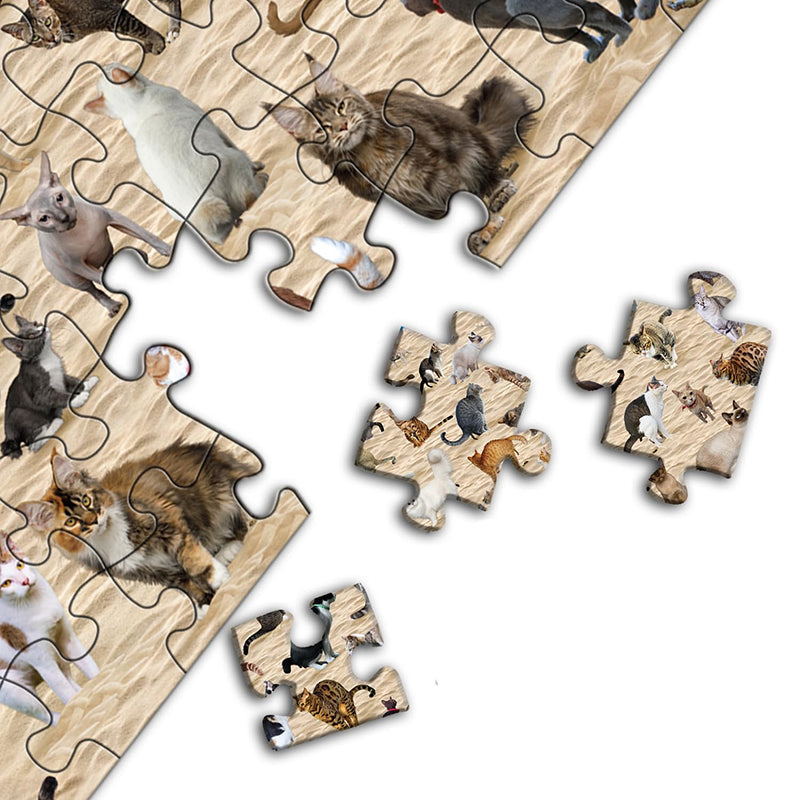 Beach Pooping Cat Puzzle 1000 Pieces