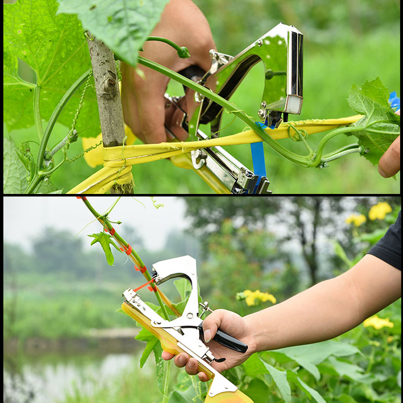 Tying Machine for Garden Plants