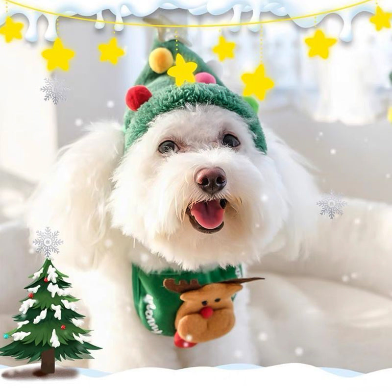 Christmas clothes for pets