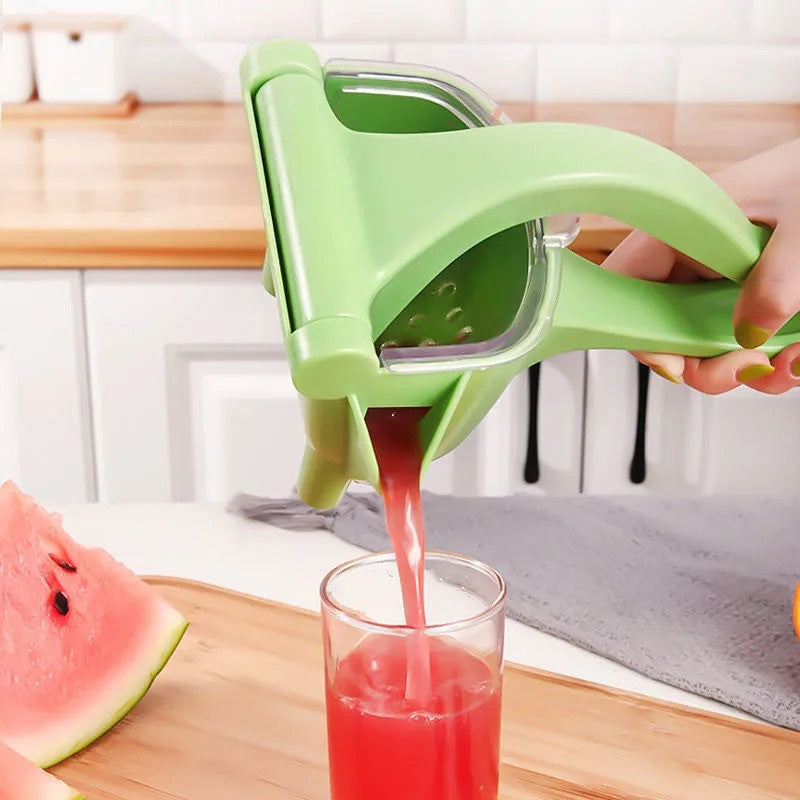 Heavy duty manual fruit juicer