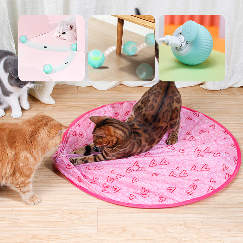 2 in 1 Simulated Interactive Hunting Cat Toy