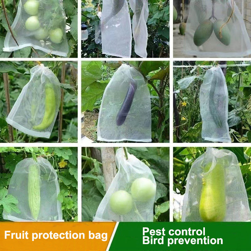 Fruit Protection Bag(100 PCS)