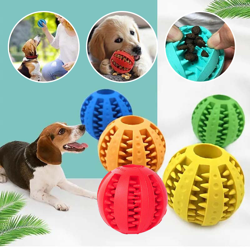 Teething Toys for Dogs