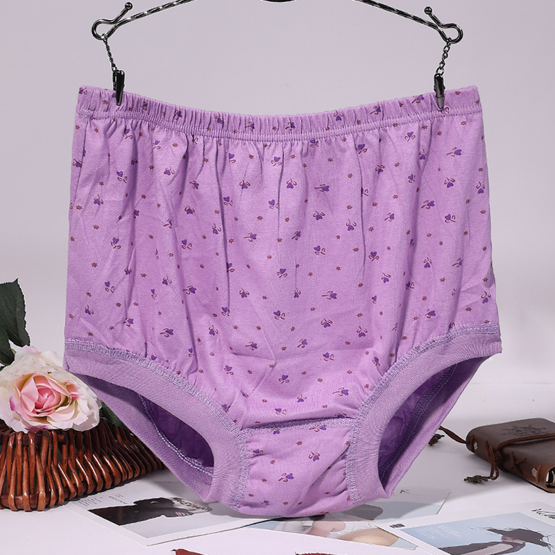 New High-Waist Ladies Leak Proof Panties