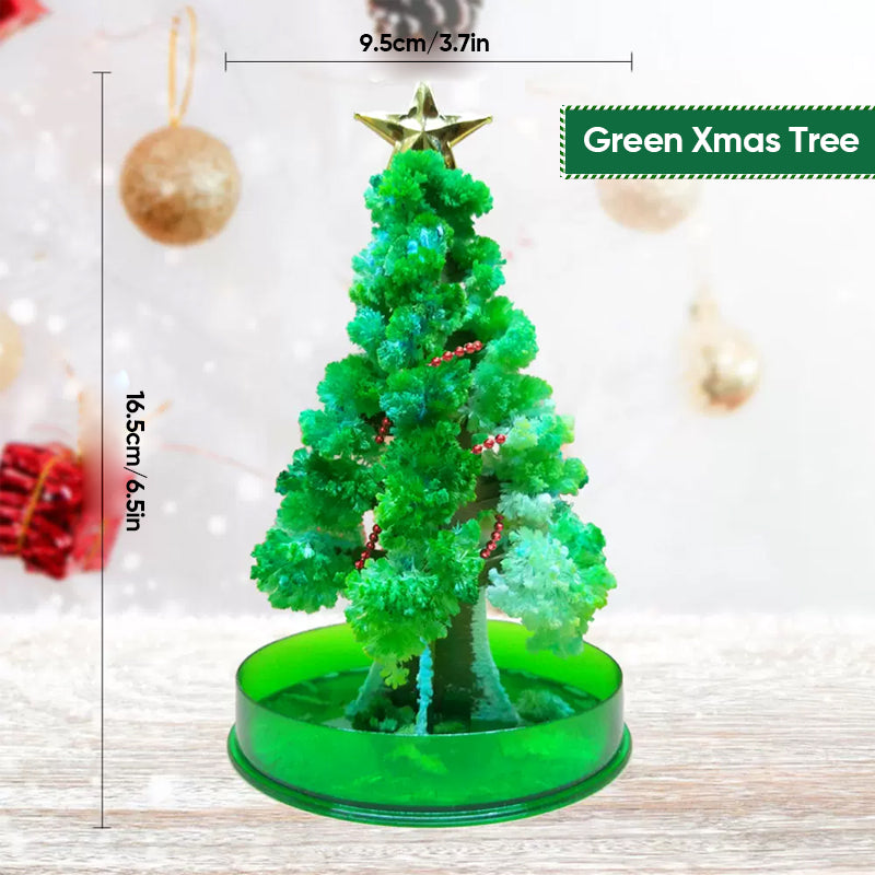 3 in 1 Mini Christmas Tree Magic Growing