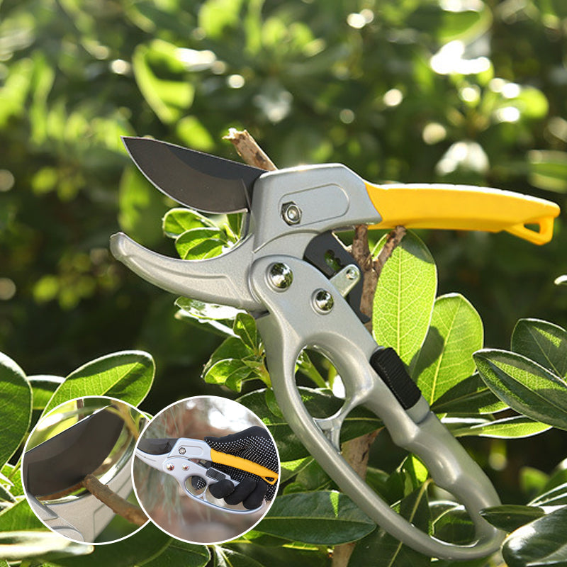 Professional Scateurs Garden Pruning Shears