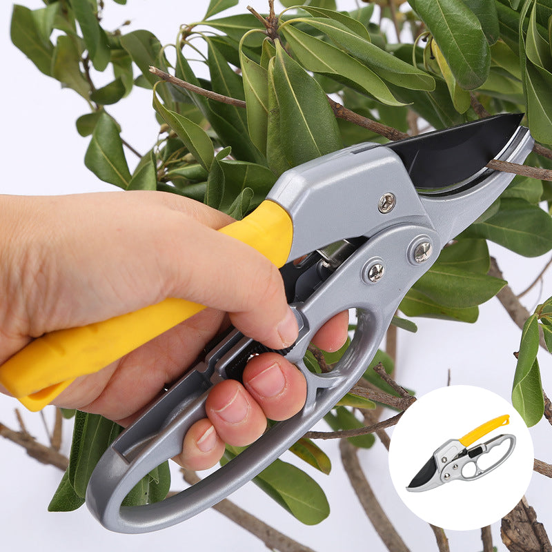 Professional Scateurs Garden Pruning Shears