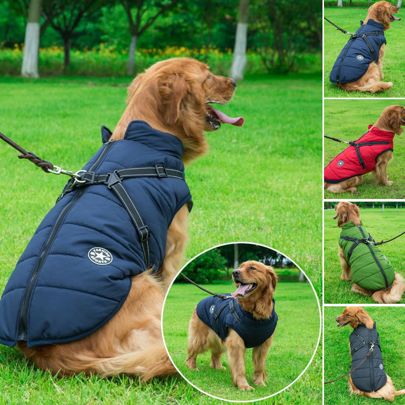 Waterproof Winter Jacket for Dogs