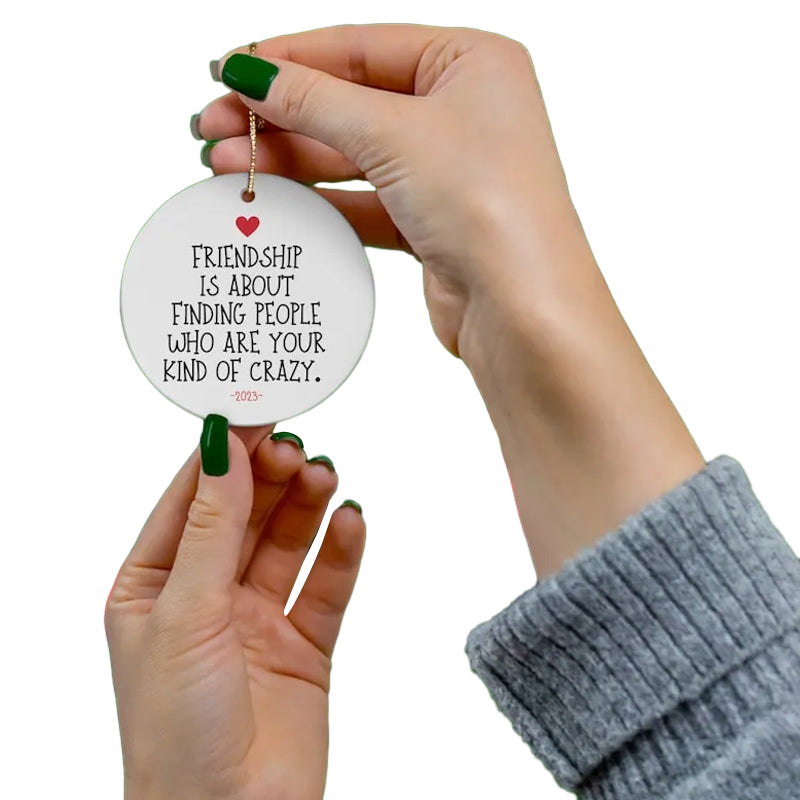 🎁💝2023 CHRISTMAS GIFT - Funny Friendship Ornament😂