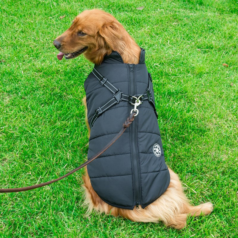 Waterproof Winter Jacket for Dogs